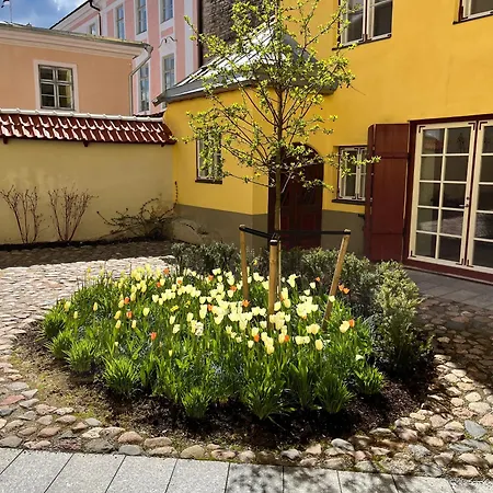 מלון דירות Parlament